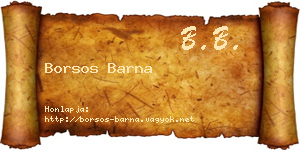 Borsos Barna névjegykártya